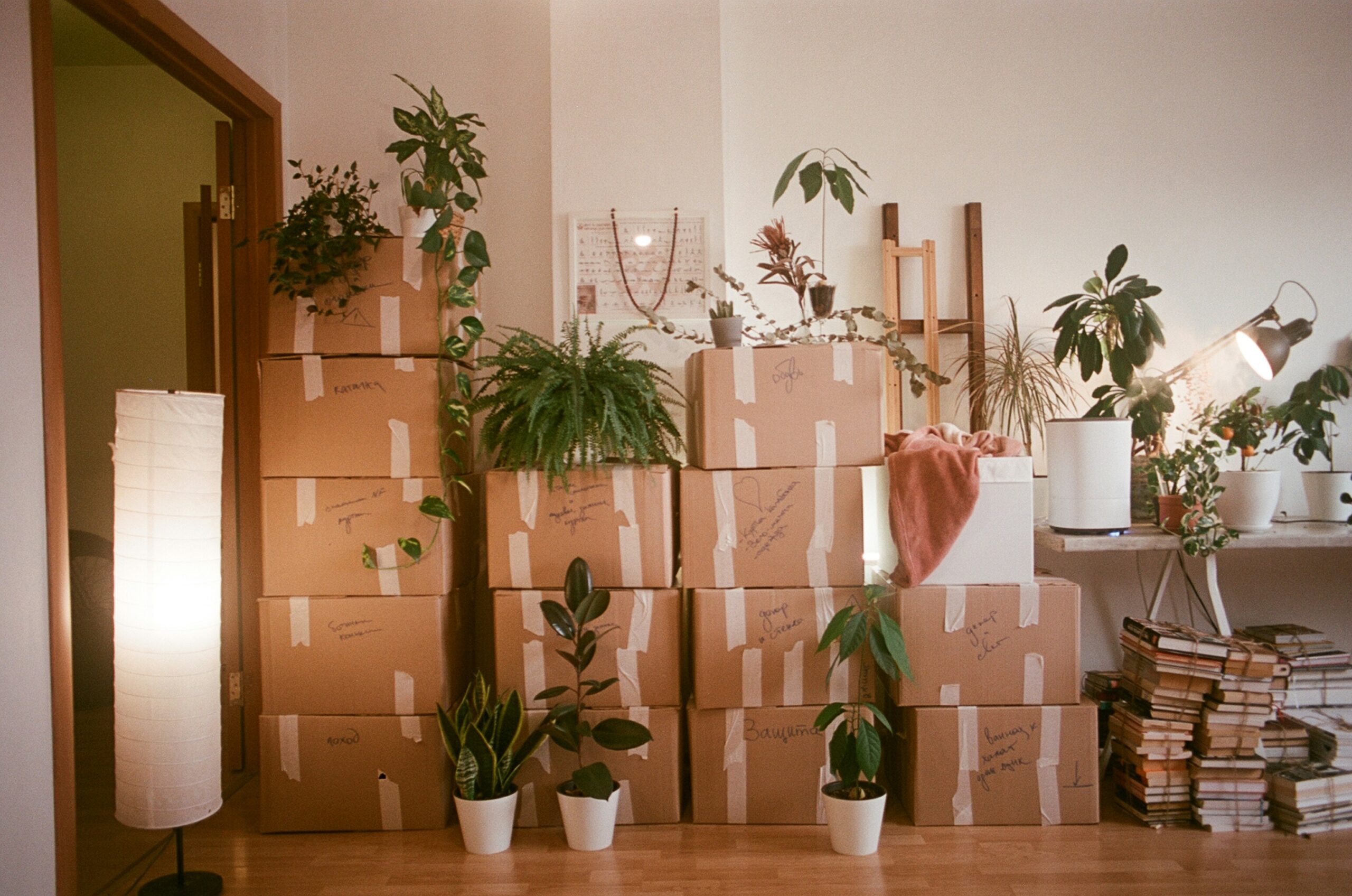 Sturdy packing boxes ready for a Smart Moves removal